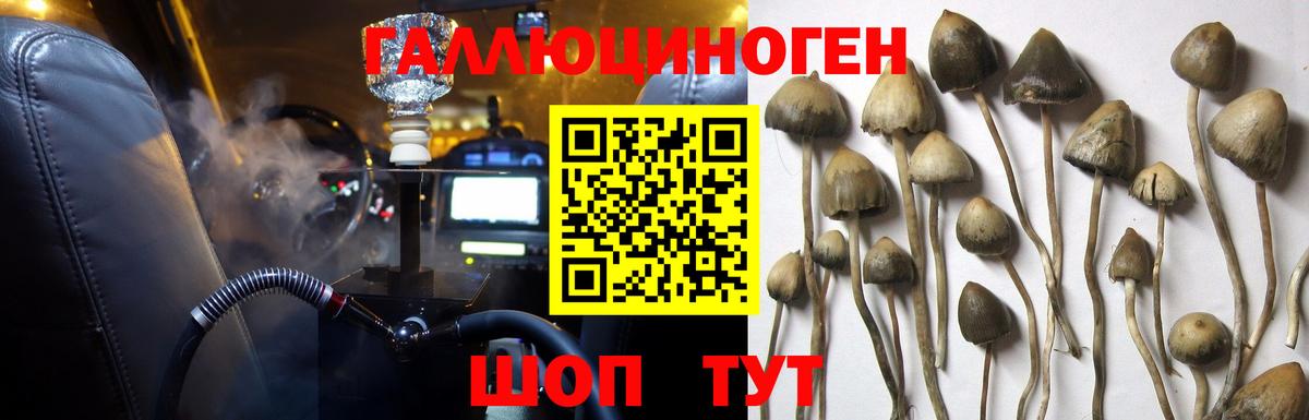 Сергиев Посад  Галлюциногенные грибы ЛСД  Вход с VPN  Галлюциногенные грибы прущие грибы 